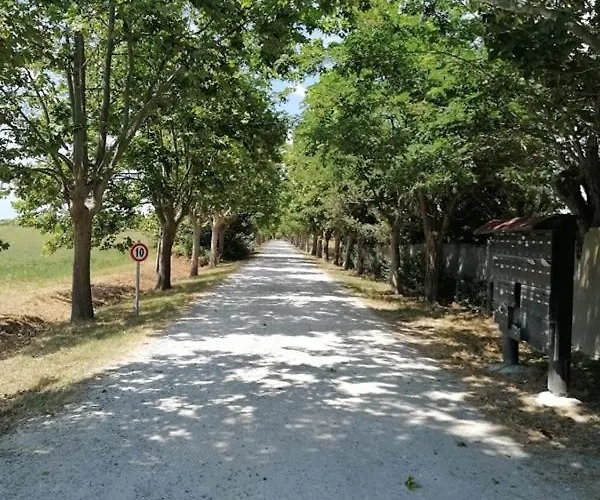 Lejlighed Casa Sara Con Wifi E Piscina Comune, A 2 Km Dal Mare *